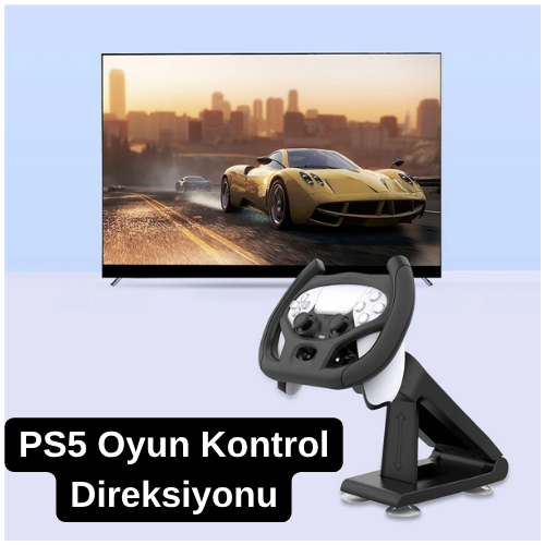 PS5 Oyun Direksiyonu